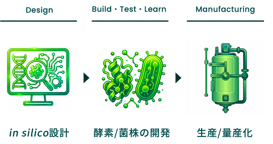 in silico設計→酵素/菌株の開発→生産/量産化