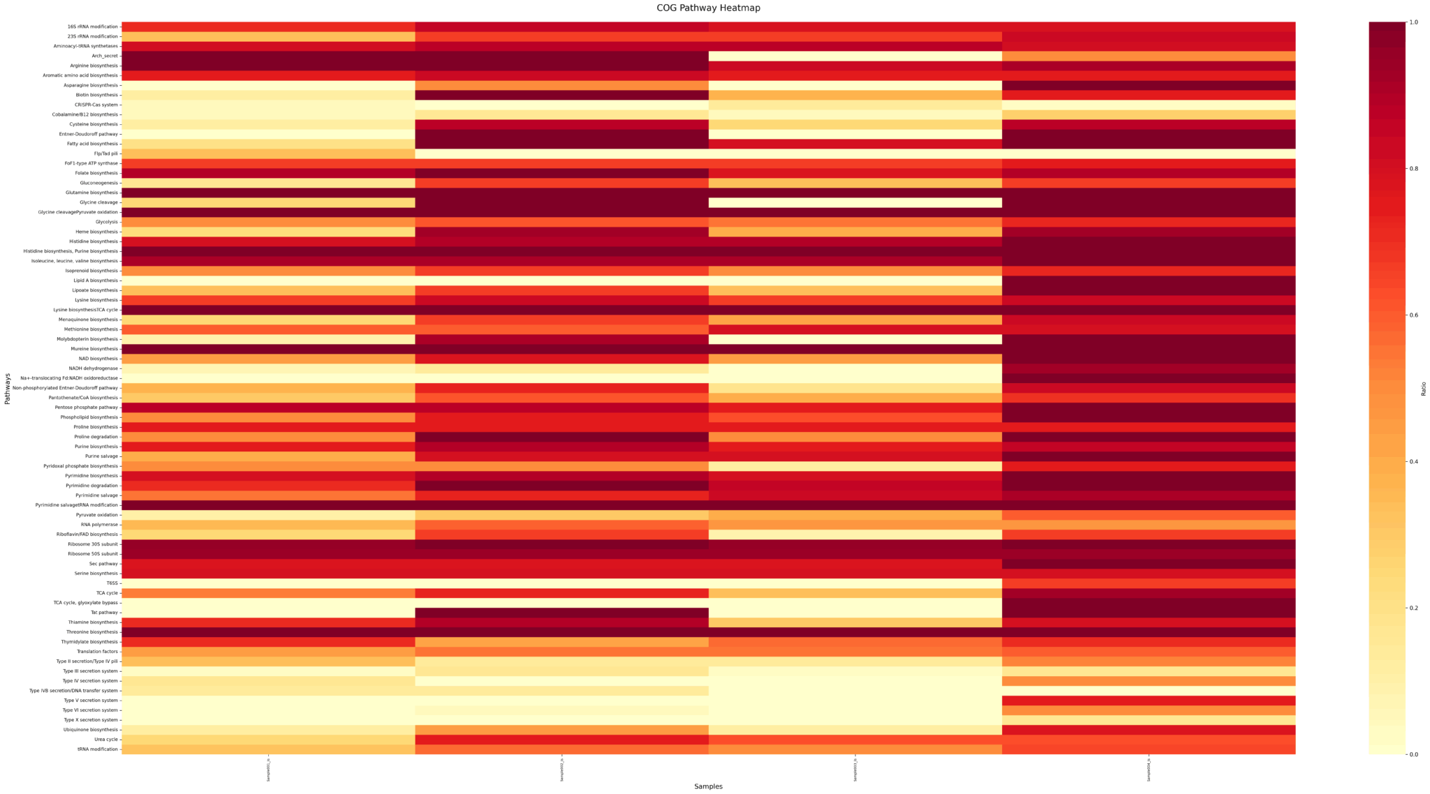 pathway_heatmap | bitBiome, Inc.
